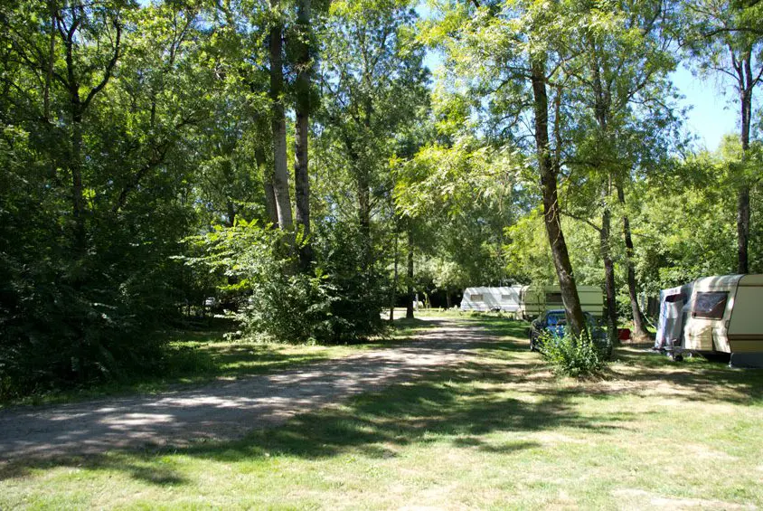 Cradle Campsite : Campsite Du Petit Bonheur nature trees