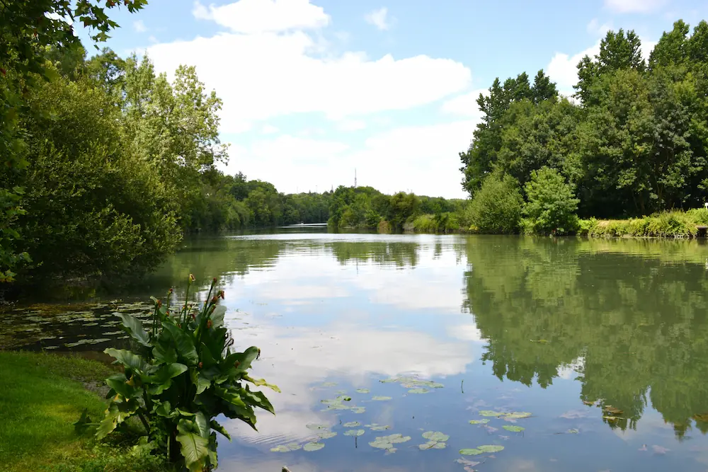 La rivière de la Charente située à proximité du camping du Petit Bonheur